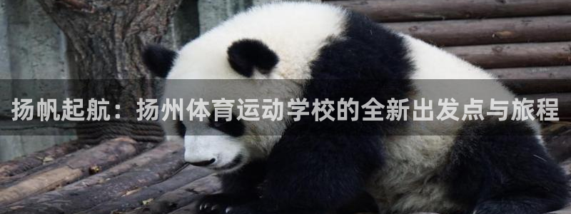 尊龙官方正版app集团E.ON:扬帆起航:扬州体育运动学校的