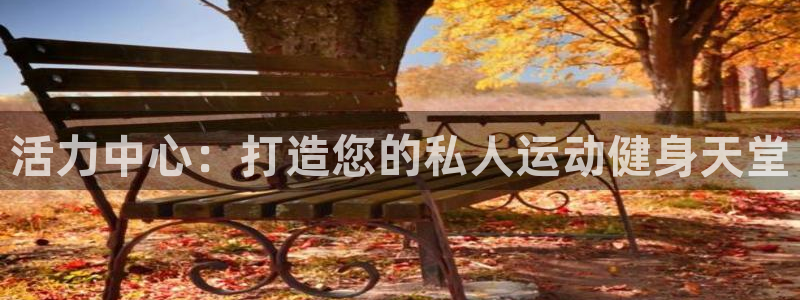 尊龙官网下载平台假的吗是真的吗吗:活力中心:打造您的私人运动