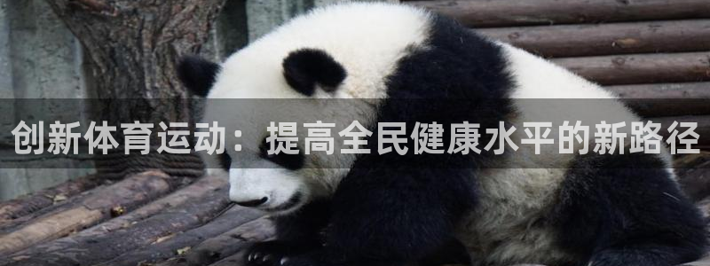 尊龙官网下载开户:创新体育运动:提高全民健康水平的新路径